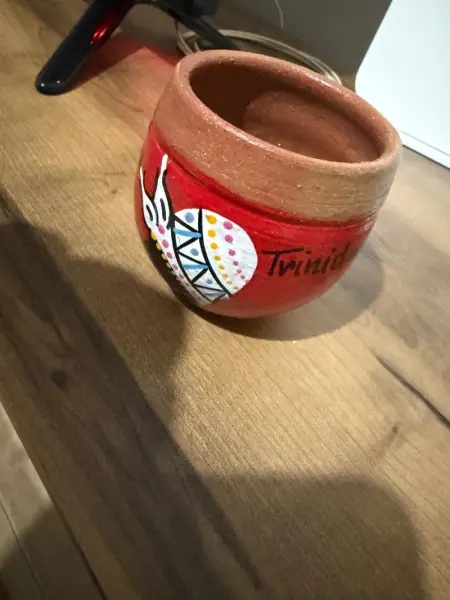 Bardak
